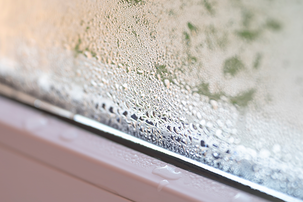 Fenster mit Kondenswasser